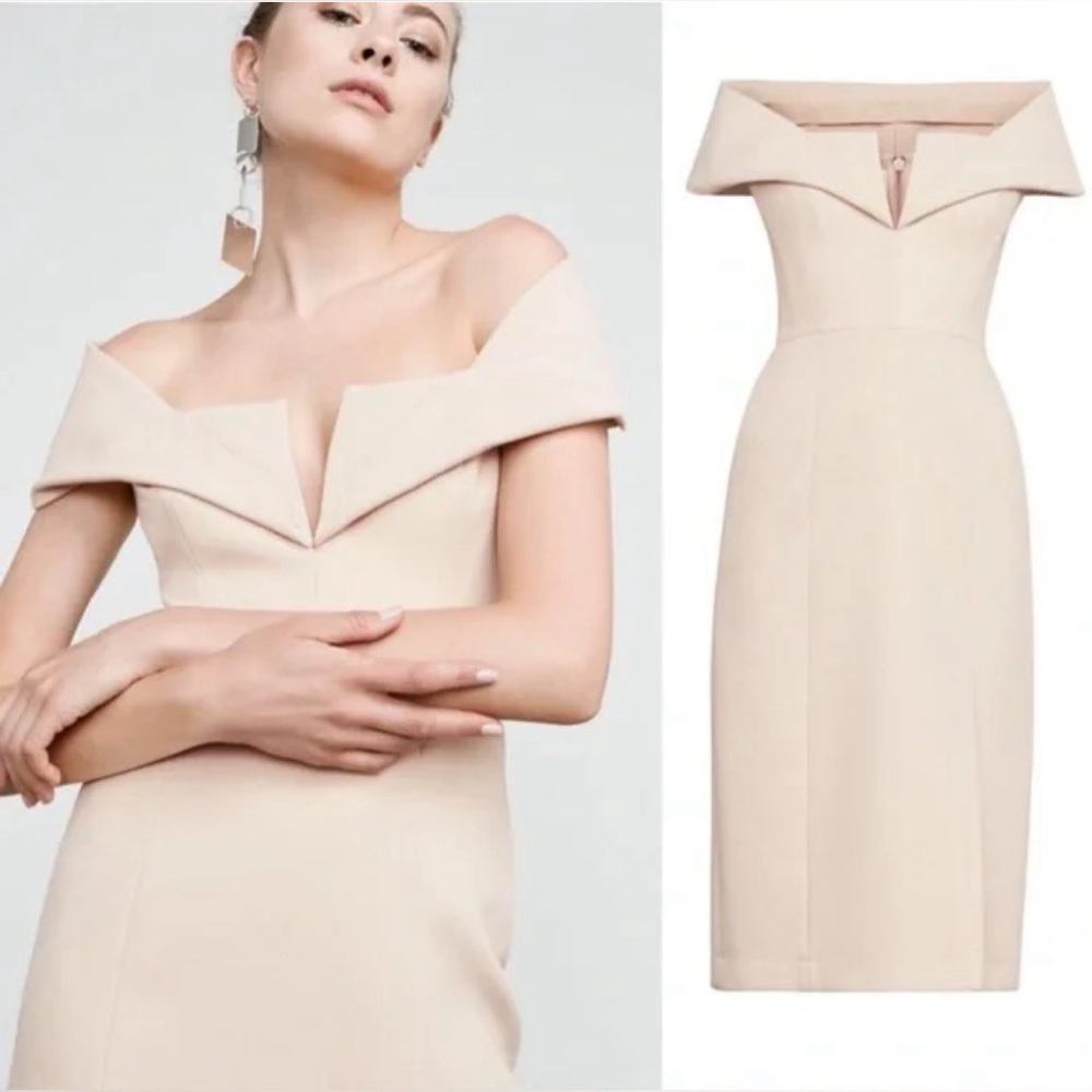 BCBGMaxAzria Marquise Bare Pink Dress 02